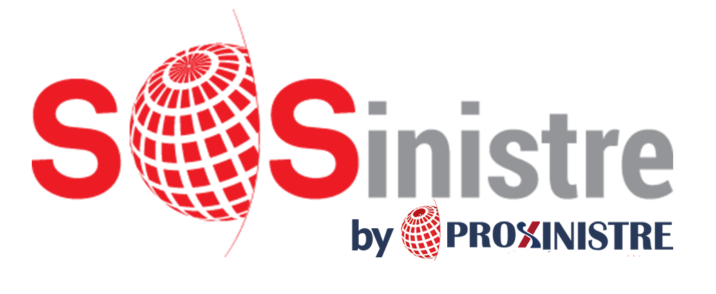 Nouveau logo PROXINISTRE